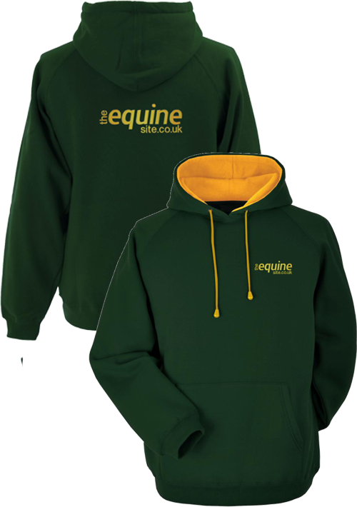 Deluxe Adult Unisex 380g Two Tone Hoodie
